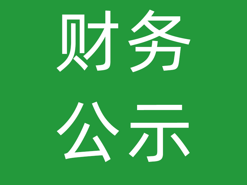 深圳市金凤凰婚姻家庭社会服务中心2025年审计报告