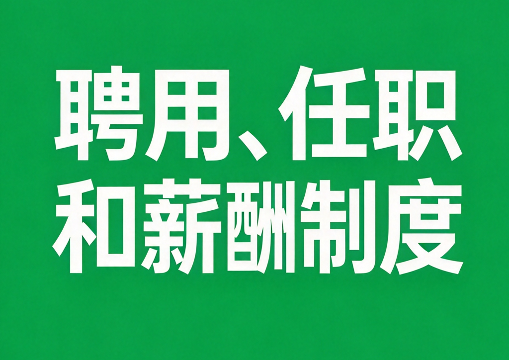 聘用、任职和薪酬制度